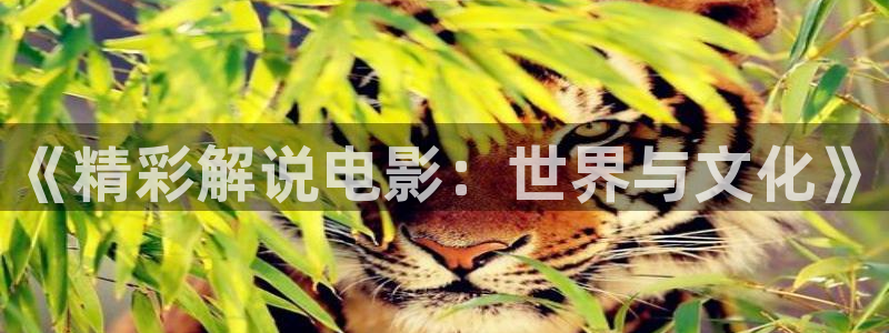 美妙旋律第一季西瓜影院
