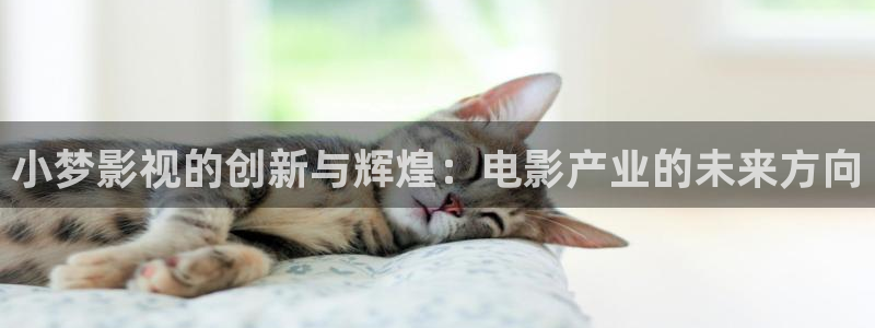 西瓜伦理影院