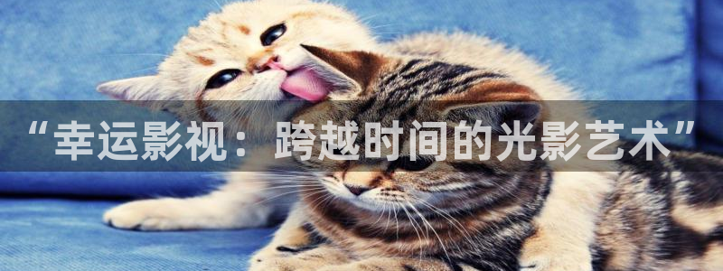 西瓜视频播放器