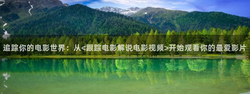 坚如磐石在线观看完整版西瓜免费