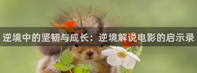 我是刑警免费观看西瓜