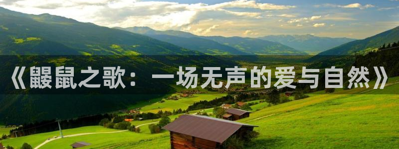 西瓜图片