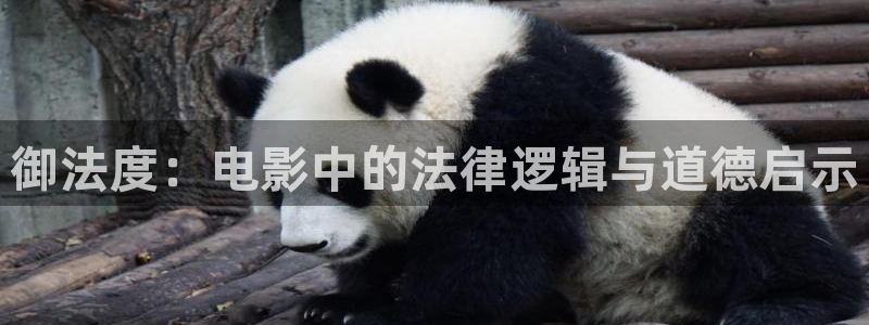 午夜西瓜影院