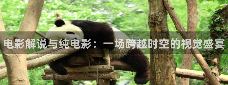 西瓜电影福利