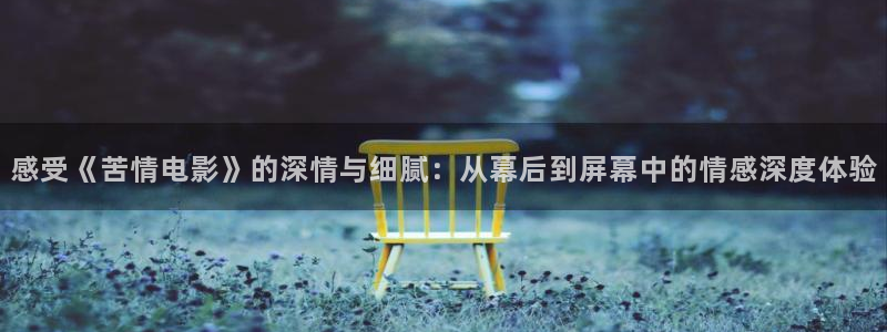 舍我其谁免费观看西瓜