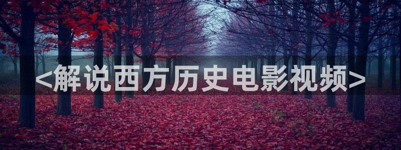 大宋宫词全集免费观看西瓜