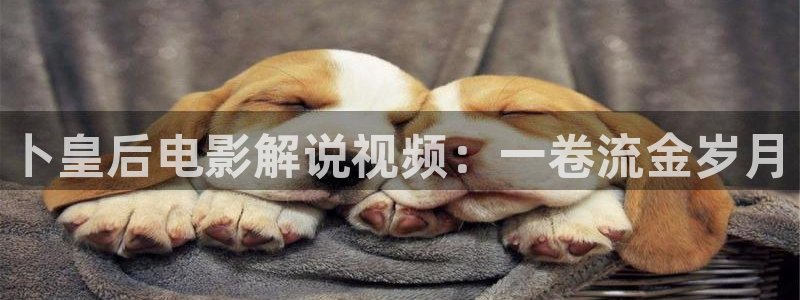 西瓜西瓜影院