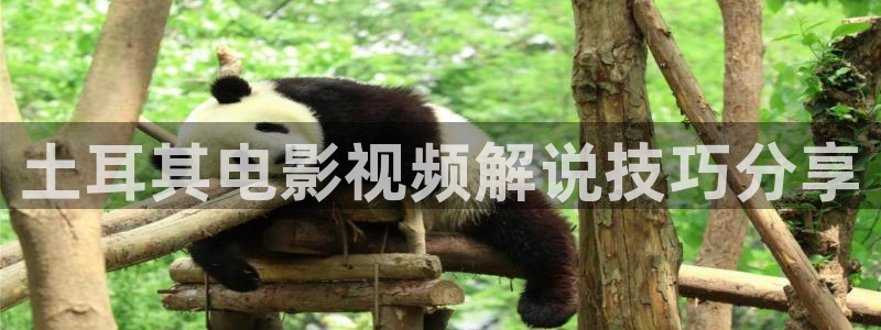 西瓜视频看电视剧免费吗