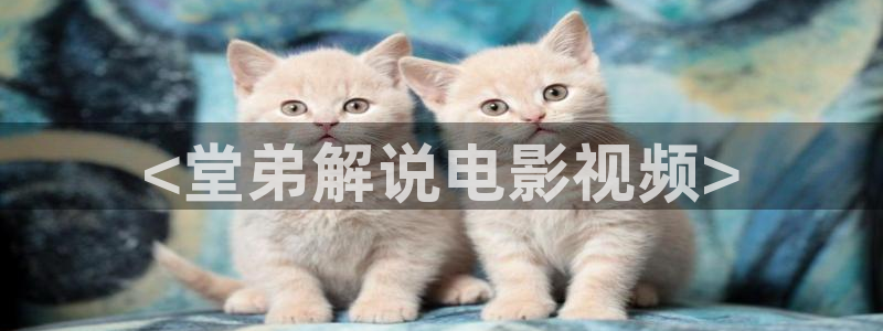 霜花店西瓜在线