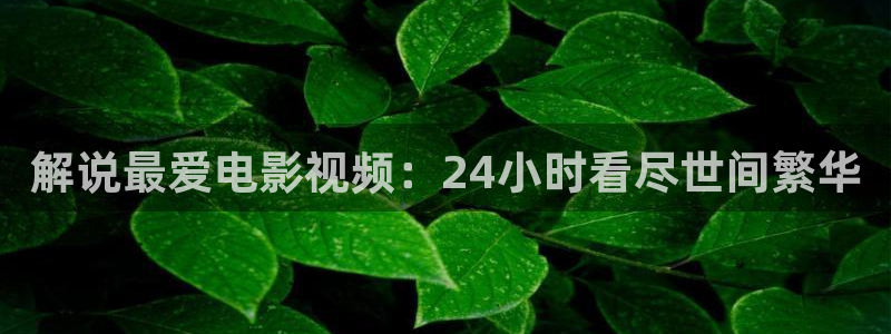 你好星期六免费观看西瓜影院