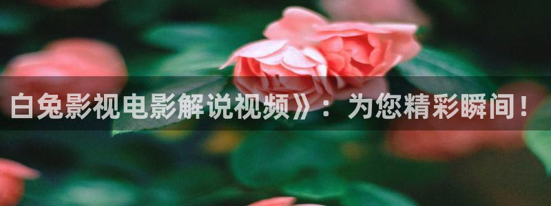 杭州 西瓜