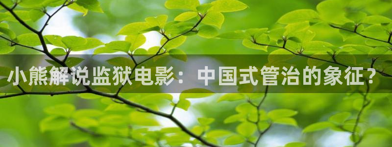叛逆者西瓜网在线观看