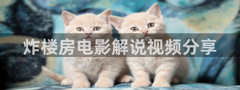 天天想你西瓜免费观看完整版