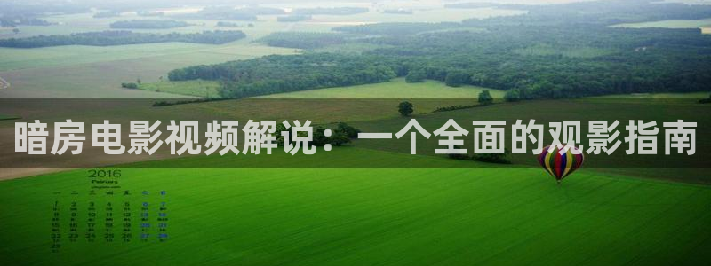 妈妈的朋友西瓜影院