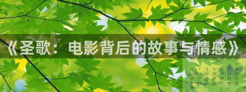 西瓜电影在线观看网