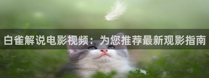 七龙珠第一部国语版西瓜影院