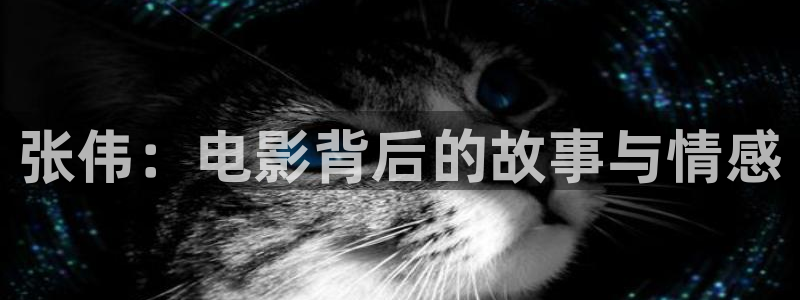 西瓜影院免费观看电视剧