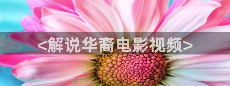 西瓜影院免费在线观看全集
