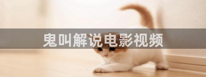 电视剧恋恋不忘免费观看西瓜