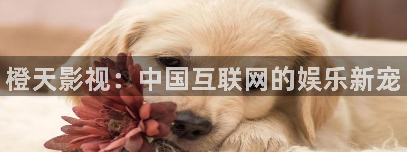 西瓜视频电影：橙天影视：中国互联网的娱乐新宠