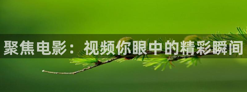 姜子牙在线观看免费西瓜