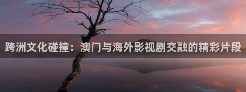 西瓜电影.：跨洲文化碰撞：澳门与海外影视剧交融的精彩片段