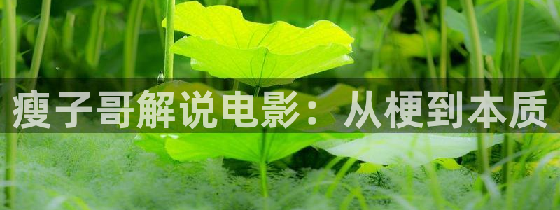 我喜欢你免费观看全集西瓜