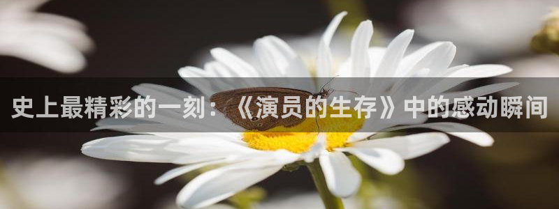 免费观看西瓜影院