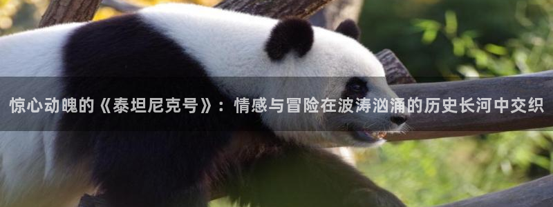长津湖西瓜免费观看完整版高清