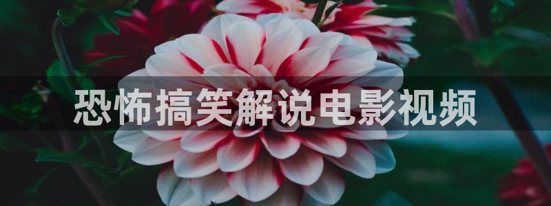 西瓜西瓜电影