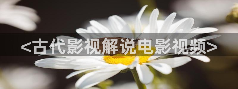 西瓜在线观看免费