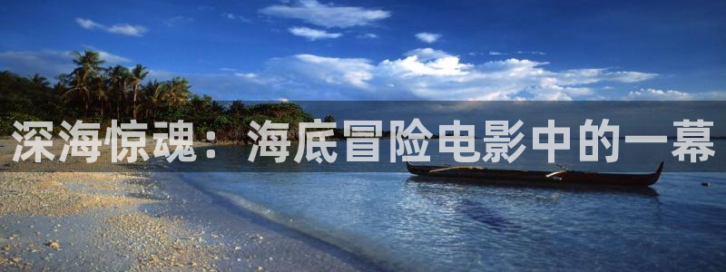 不惑之旅免费观看西瓜