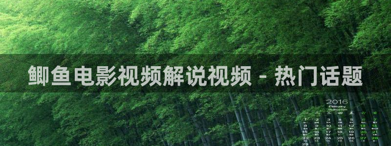 西瓜视频在线观看免费高清完整版