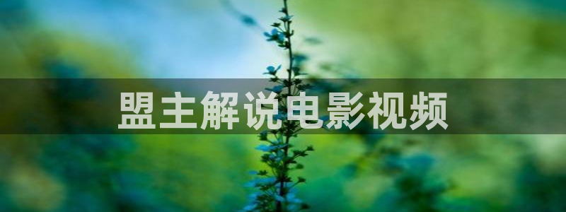 乐游原西瓜免费观看追剧网