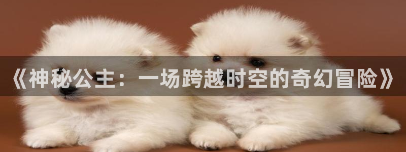 2025西瓜电影免费播放