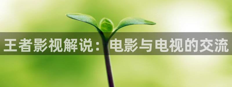 西瓜被窝电影
